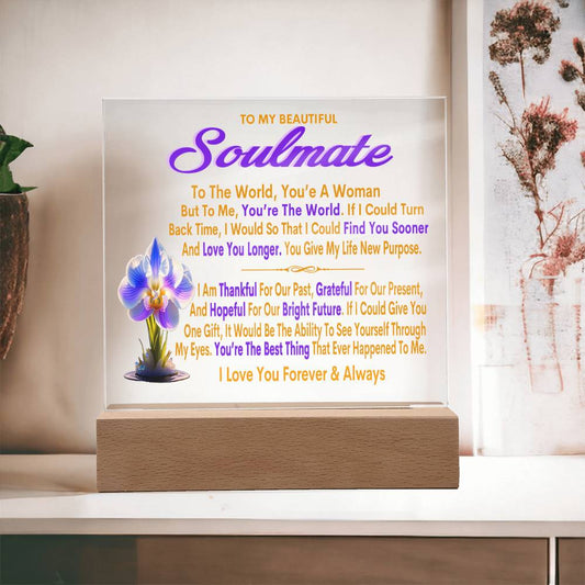 To My Beautiful Soulmate You're My World February Birth Flower Acrylic Nightlight