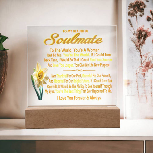 To My Beautiful Soulmate You're My World March Birth Flower Acrylic Nightlight